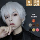ウィッグ かつら メンズ ショート 男装 黒 男性 原宿 イケメン ハンサム 自然 小顔 耐熱 人気 ファッション ふわふわ イメチェン 男女兼用 メンズ 男装...
