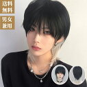 ウィッグ かつら メンズ ショート 男装 黒 男性 原宿 イケメン ハンサム 自然 小顔 耐熱 人気 ファッション ふわふわ イメチェン 男女兼用 メンズ 男装...