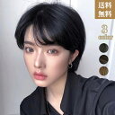 送料無料 ウィッグ かつら メンズ ショート 男装 黒 男性 原宿 イケメン ハンサム 自然 小顔 耐熱 人気 ファッション ふわふわ イメチェン 男女兼用