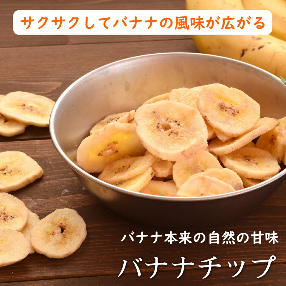 厳選のバナナチップフィリピン産バナナチップ500g入り【フィリピン産バナナチップ500g】