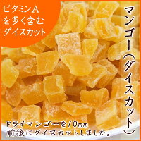 ドライフルーツ ドライマンゴー