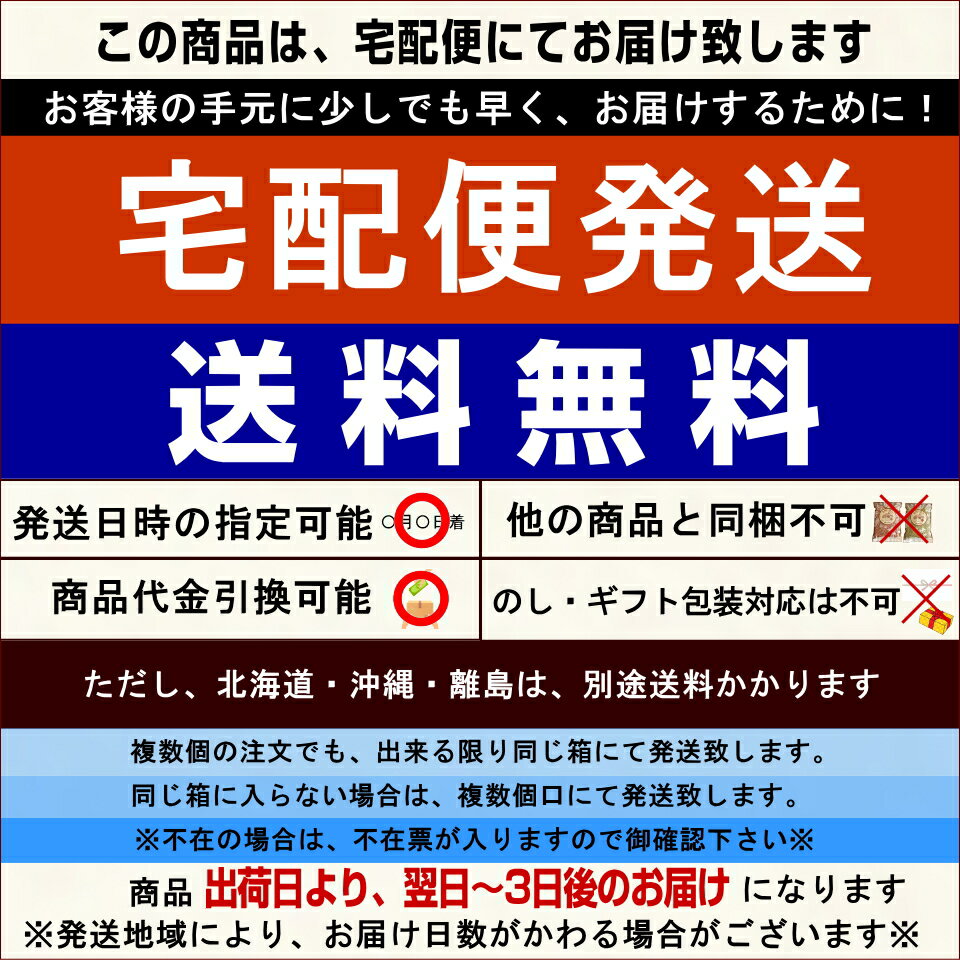 送料無料