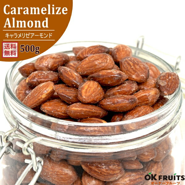 ̵ٰɡʥǥƥ󥰡˥ꥼ500gڰ500g