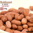 落花生 生 250g 送料無料 うす皮付き 無添加・無塩・無油・大粒の落花生 【うす皮付き大粒・生 落花生250g】
