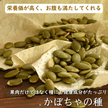 かぼちゃの種 無塩 素焼き 900g 送料無料 食用 北新地の店舗で大人気 ローストかぼちゃの種 厳選の無添加 パンプキンシード 【プレミアム・かぼちゃの種900g入り】