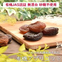 オーガニック ドライフルーツ 有機アプリコット 1kg 送料無料 無添加 無着色 砂糖不使用 自然の甘味 有機ドライアプリコット（杏子）【有機アプリコット1kg】 2