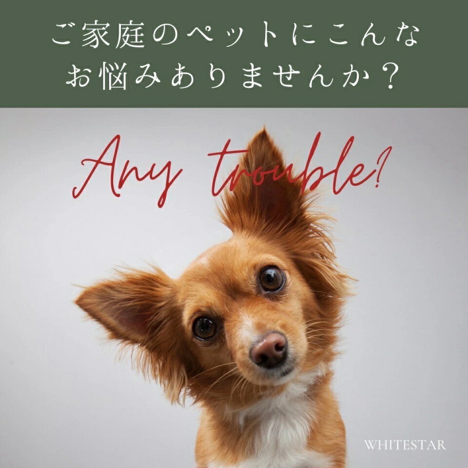 ワンちゃん ネコちゃん ペット用 健康補助食品 ワンスプーン 250g