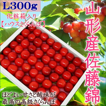 母の日ギフト 7大特典おまけ付き！ カーネーションと大人気のデーツ＆体に優しいルイボスティー付き さらに送料無料 山形産さくらんぼ（佐藤錦）　L〜2Lサイズ300g（化粧箱入り）【山形さくらんぼ300g化粧箱におまけ付き】