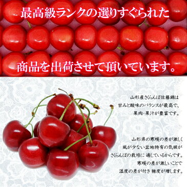 母の日ギフト 7大特典おまけ付き！ カーネーションと大人気のデーツ＆体に優しいルイボスティー付き さらに送料無料 山形産さくらんぼ（佐藤錦）　L〜2Lサイズ300g（化粧箱入り）【山形さくらんぼ300g化粧箱におまけ付き】