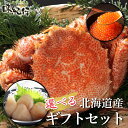 毛ガニ / ホタテ貝柱 / いくら醤油漬けから選べる2種セット 北海道産 ギフト用海鮮グルメ詰合せセット オホーツク味紀行 送料無料