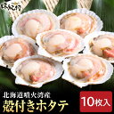 殻付ホタテ 片貝 北海道産 10枚入 500g オホーツク味紀行 ほたて 瞬間冷凍 海鮮グルメ 送料無料 お取り寄せ ギフト プレゼント 帆立 加熱用 BBQ
