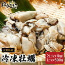 牡蠣 広島産 瞬間冷凍 むき身 500g/1kg 大粒L/特大2Lサイズ 海鮮グルメ お取り寄せ ギフト プレゼント かき カキ オホーツク味紀行