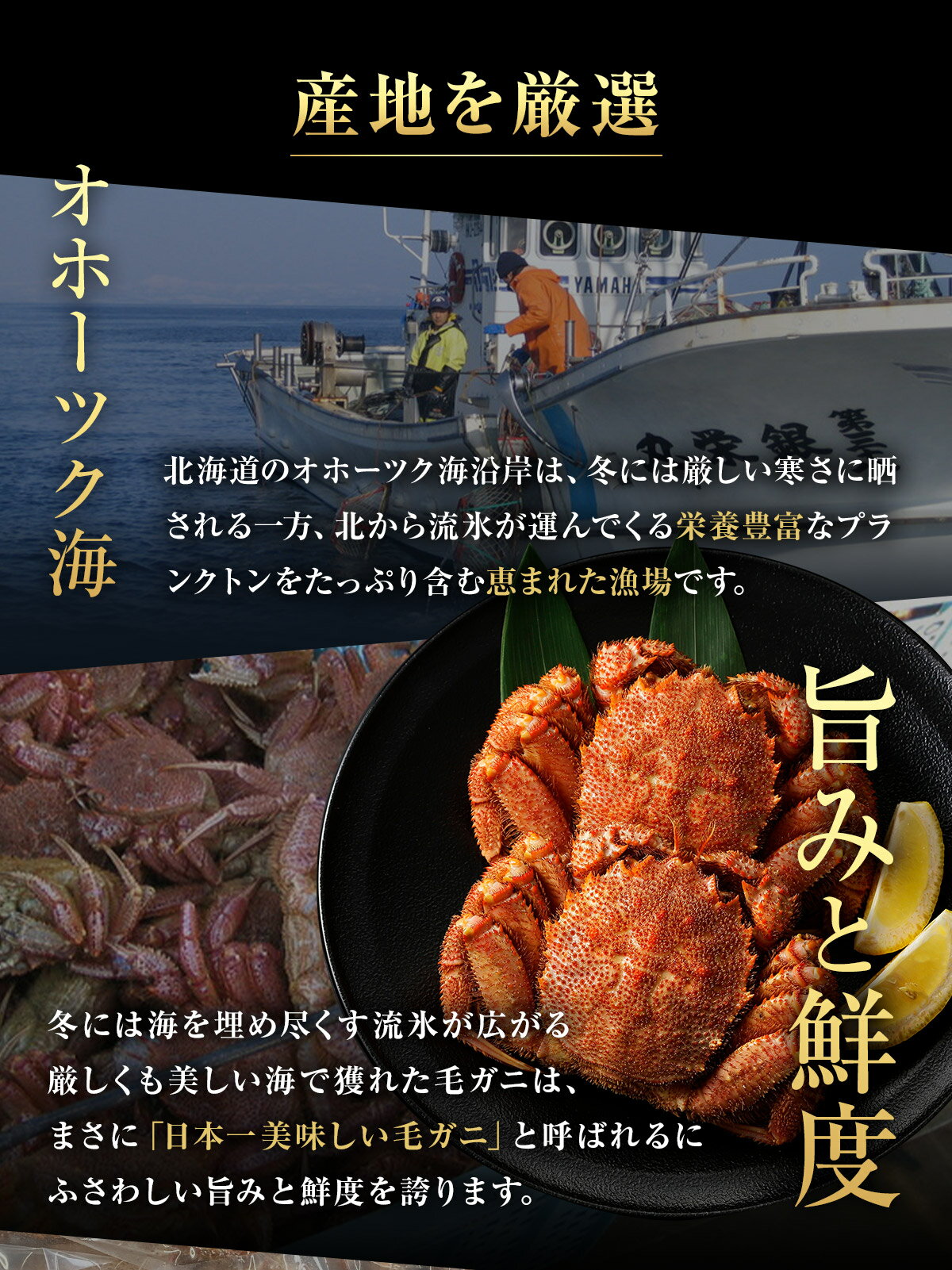 毛ガニ 北海道産 【670g × 6尾セット】 お得な大容量セット 業務用 姿 ボイル 冷凍 毛蟹 送料無料 お取り寄せ オホーツク味紀行