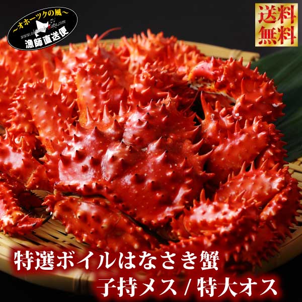 送料無料 花咲蟹 特大 北海道『特選ハナサキガニ』（ボイル姿オス特大 1キロ～1.5キロ　※サイズ選択OK）カニミソ 根室 花咲がに はなさきがに はなさき蟹　カニ鍋 甲羅 ギフト 贈答用 海鮮 お取り寄せグルメ　高級 内祝い お歳暮・年越し