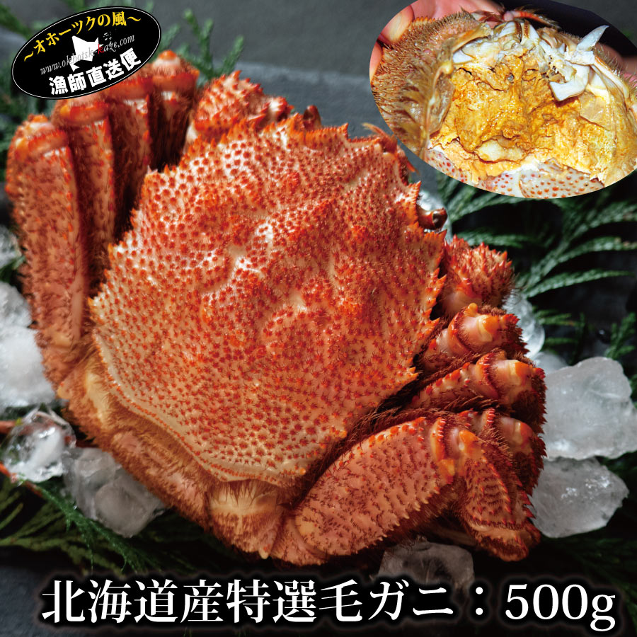 北海道産 特選 ボイル 毛ガニ 500g （堅蟹一番手）北海