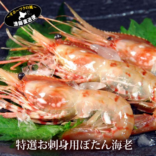 海鮮 ボタンエビ 特大 500g 刺身用 ぼたん海老 牡丹海老 ボタン海老 ぼたんえび刺し身 ジャンボ エビ ..