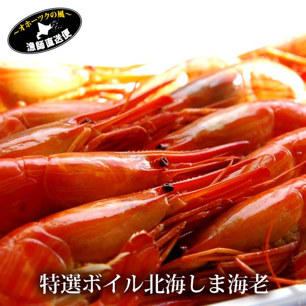 《楽天スーパーSALE★店内全品P10倍！》 北海シマエビ シマ海老 特選北海しま海老 500g パック M〜2Lサイズ 北海道産 北方四島産 しまえび エビ えび 特大 オホーツク ギフト 贈答用 お取り寄せグルメ 内祝い 北海道 海鮮 新春 父の日