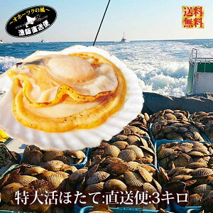 《週末限定SALE★ポイント5倍》 北海道 海鮮 特大 天然 活ホタテ貝 直送便 3キロ（最高級 最大級 野付産 殻付き 活ほたて 3年物）送料無料 （※西日本地域を除く）《冷蔵便直送 産地直送》 活帆立 帆立貝 殻付き 天然物　3kgお歳暮 年越し