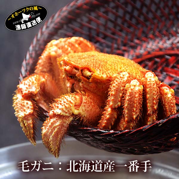 『特選 北海道産 毛蟹』(堅蟹 3特ランク:400g) 蟹 毛ガニ カニ かに 毛蟹 ケガニ けがに オホーツク 流氷毛ガニ 雄武 かにみそ カニミソ【#