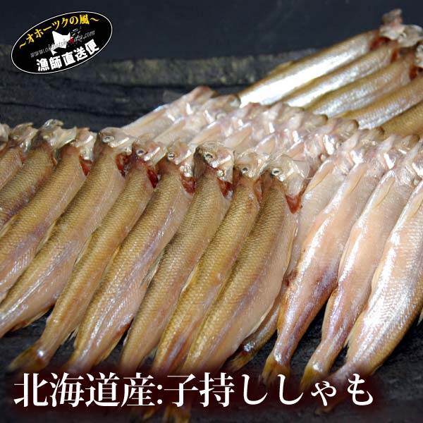 『子持ち本シシャモ30尾 北海道産 』子持ちししゃも 子持シシャモ 柳葉魚 一夜干し 海鮮 魚 ギフトメッセージカード お取り寄せグルメ 北海道物産展・ 送料無料 母の日 父の日