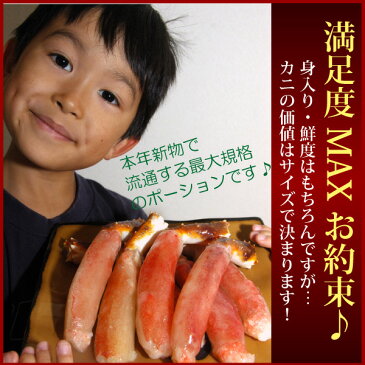 《歳末総決算★楽天大感謝祭》 特選 特大 生タラバ & 生ズワイ カニシャブ 食べ比べセット (生太脚のみ 各500g 計1キロ) むき身 カット済み ずわいがに たらばがに ズワイガニ タラバガニ 蟹しゃぶ かにしゃぶ 海鮮 高級 送料無料 お歳暮 年越し