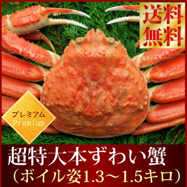 送料無料『超特大本ずわい蟹：ボイル姿1.3-1.5kg』ズワイガニ ずわいがに ズワイ蟹 越前ガニ 松葉ガニ ギフト 楽ギフ_包装のし ギフト 贈答用 メッセージカード対応海鮮 魚