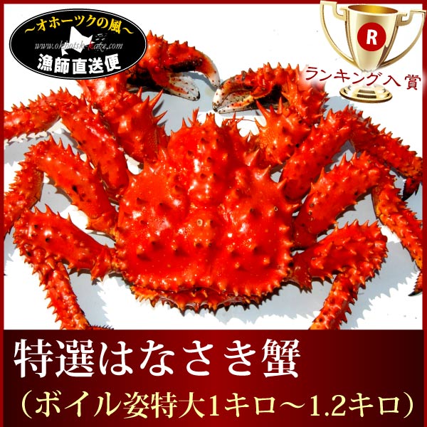 【送料無料】花咲蟹 特大 北海道『特選ハナサキガニ』（ボイル姿 1kg 1,2kg）カニミソ 根室 花咲がに はなさきがにカニ鍋 甲羅のし ギフト 贈答用 メッセージカード対応 海鮮 《お年始》