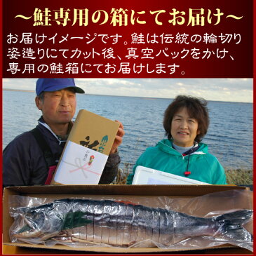 ご予約商品【送料無料 新巻鮭 北海道産 一本物】『無塩生鮭 大サイズ 輪切り姿造り』（北海道産 天然鮭）石狩鍋 秋鮭鍋 さけ サケ しゃけ シャケ お取り寄せグルメ　高級【＃元気いただきますプロジェクト】