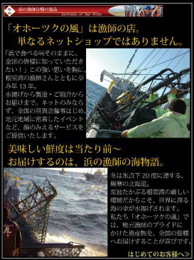 『生鮭イクラ漬け』（100g入り）北海道産サーモン＆イクラ ギフトメッセージカード　父の日 食品ロス 北海道物産展