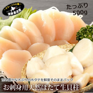 ほたて 貝柱 北海道産 天然物 『特大 ホタテ 生貝柱 500g』(北海道 野付産 帆立)hotate 玉冷 刺し身 刺身 かいばしら ジャンボ 三年貝 スーパーフード