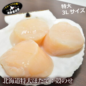 ほたて『特大天然ホタテ生貝柱刺身用』(北海道野付産ほたて玉冷:3L3玉殻のせパック)ほたて ホタテ 帆立 刺し身 三年貝 北海道物産展 スーパーフード