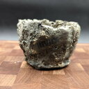 陶器製 植木鉢 SSサイズ Yougan -溶岩- グレースケルトン by IIIVIIX イーヴィックス 手びねり 一点物 コーデックス アガベ 塊根植物 多...