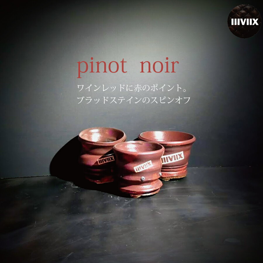 イーヴィックス Pinot Noir Mサイズ （3.5号鉢