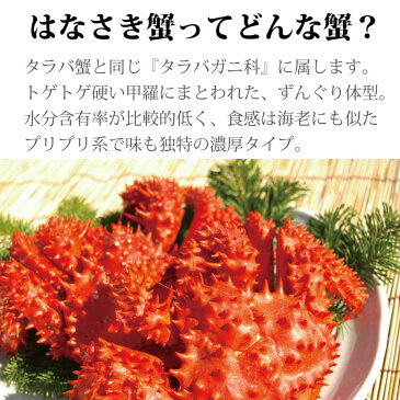 《歳末総決算★楽天大感謝祭》 特大 花咲ガニ オス 1キロ〜1.5キロ!北海道 特選 ハナサキガニ カニミソ 根室 花咲がに はなさきがに はなさき蟹 カニ鍋 甲羅 ギフト 贈答用 海鮮 高級 送料無料 お歳暮 年越し