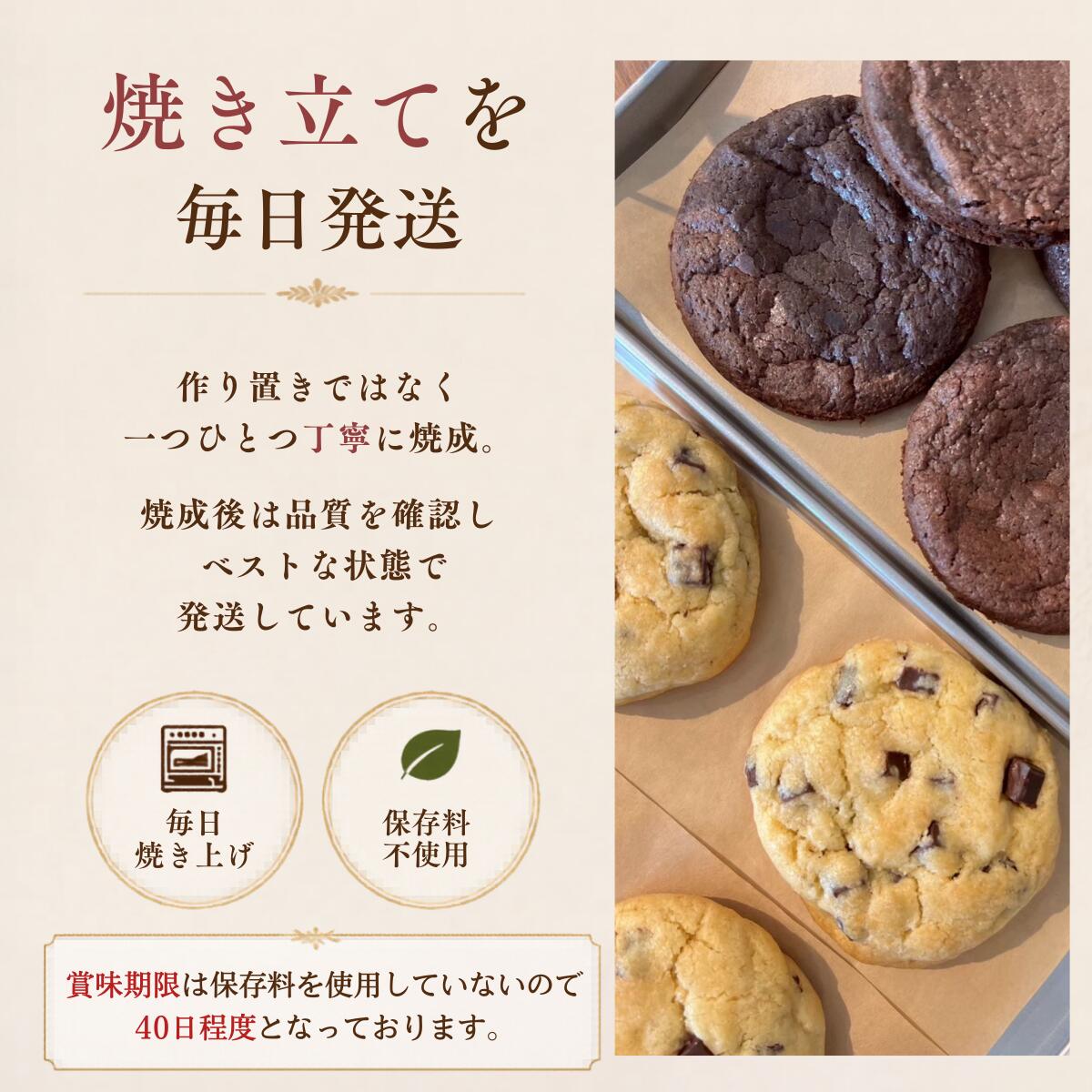 おおきベリー Fren and Chieeeの濃厚ショコラ＆抹茶 ブラウニー クッキー 12個入り｜アメリカンクッキー 個包装 ギフト 無添加 保存料不使用 八女抹茶使用 焼き菓子 詰め合わせ プレゼント 手土産 お取り寄せ お菓子ギフト 焼き菓子ギフト スイーツギフトFren & Chieee おおきベリー｜アングル3