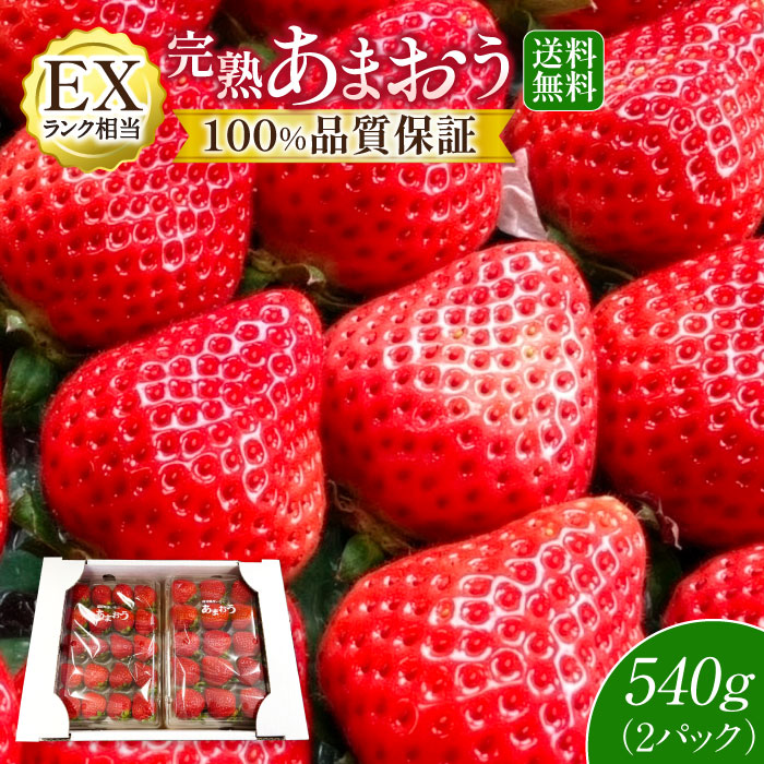 【産地直送】あまおう いちご 福岡県産 すぐ発送 年内配送 2パック 大粒 EXランク 贈答用 ギフト プレゼント お歳暮　お取り寄せ 高級 ..
