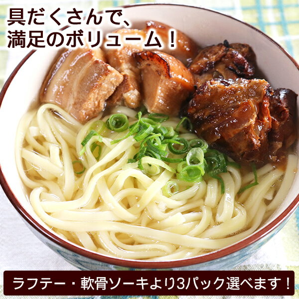 お試し 照喜名 生めん沖縄そば 2人前セット（麺 そばだし 選べる具材） 【ネコポス送料無料 ポスト投函】　/照喜名そば ソーキそば 炙り軟骨ソーキ 炙りラフテー 炙り軟骨ソーキ（ガーリック味） 3