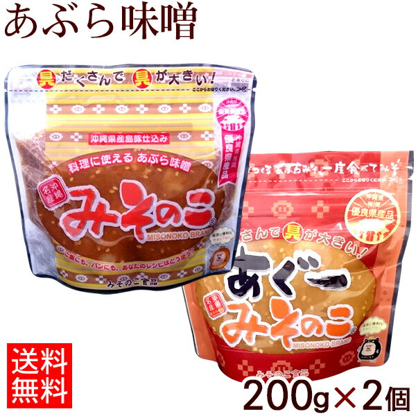 沖縄名産あぶら味噌2個セット（みそのこプレーン200g ＆ あぐーみそのこ200g） 【ネコポス送料無料】　│あぶらみそ 油みそ 油味噌 あんだんすー アグー│