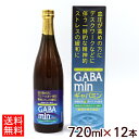ギャバミン 720ml×12本 【送料無料】 /GABAmin 沖縄 青パパイヤ使用 ケース オキハム
