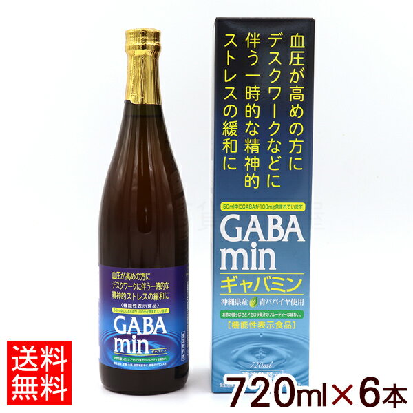 ギャバミン 720ml×6本 【送料無料】　/GABAmin 沖縄 青パパイヤ使用 オキハム