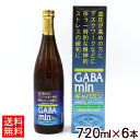 ギャバミン 720ml×6本 【送料無料】 /GABAmin 沖縄 青パパイヤ使用 オキハム