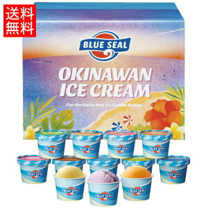 ブルーシールアイス ギフト12　110ml×12個入（直送便）【送料無料】　/沖縄 アイスクリーム 詰め合わせ