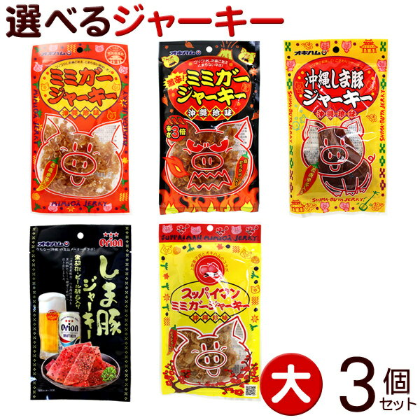 オキハム 選べるジャーキー 大 3個