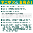 オキハム 沖縄しま豚ジャーキー 12g×20個 【ネコポス送料無料】 3