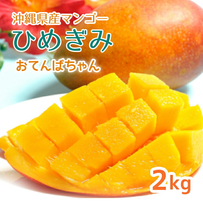 【予約販売中！】沖縄県産マンゴー ひめぎみ おてんばちゃん2kg 送料込 まんごー 最高級 ご家庭用 琉球びんがた お中元 数量限定特価販売中