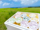 まぁじゅんのフローズン ヨーグルトセット10個入り 送料込まぁじゅん ジャージー乳 フローズン ヨーグルト セット ギフト 贈り物 沖縄県産 石垣島 送料込 島...