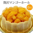 贅沢マンゴーホールケーキ　6号(6-7人分)送料込