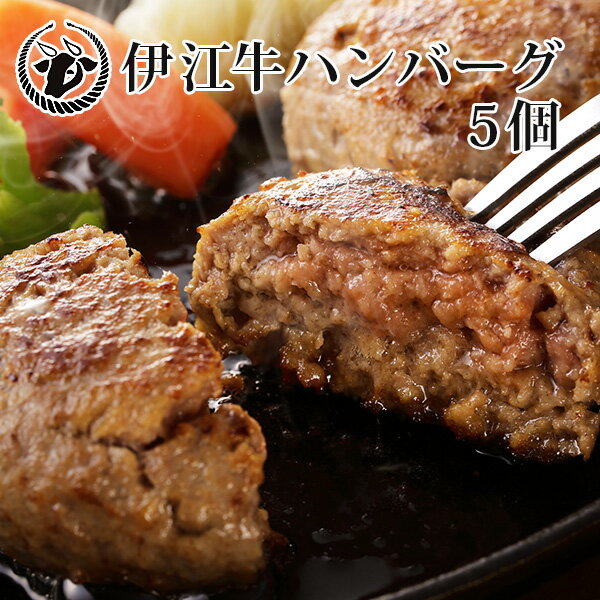 【送料無料】伊江牛ハンバーグ5個セット｜国産和牛｜県産和牛｜贈り物［食べ物＞お肉＞ハンバーグ］