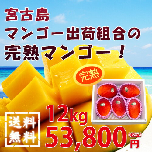 ���ꌧ�̒��ł��ō���ƌĂѐ������{�Ó��Y�}���S�[�ł��I�Ƃ낯��悤�ȐH���Ɛ[�����킢�͐�i�ł��I�������A�M�t�g�A����񂹁B�b�{�Ó��}���S�[�b���������b30%off�y���������z�y30%off�z�{�Ó��}���S�[�o�בg���̊��n�}���S�[ 12kg�b����y�Y�b�������b�M�t�g�m�H�ו����t���[�c���}���S�[�n