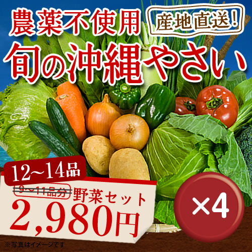 野菜セット|カフェやホテルでも絶賛の新鮮野菜を産地直送でお届けします|野菜セット|野菜|旬の野菜|詰め合わせ|新鮮野菜|産地直送｜沖縄野菜セット｜送料無料｜5%off【送料無料】【5%off】名水百選の地で育てた沖縄野菜セット（12〜14品） 5個セットビタミン・ミネラル・カロチンがたっぷり｜野菜セット|野菜｜旬の野菜|詰め合わせ｜新鮮野菜|産地直送［食べ物＞野菜＞野菜セット］